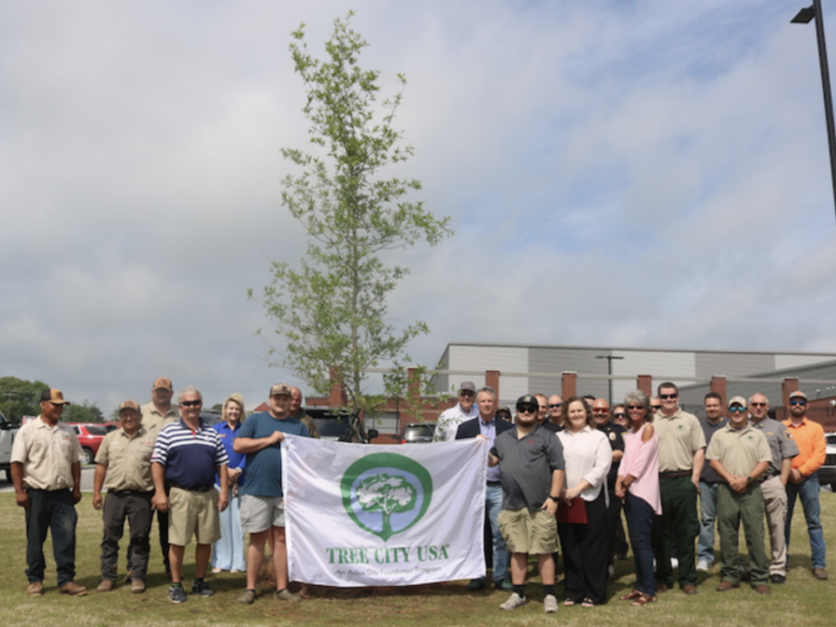 Boaz: 35 years as “Tree City USA”